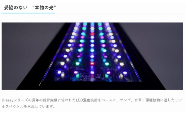 照明器具】【LED照明】【ボルクスジャパン】 GrassyLegna 60 Fresh