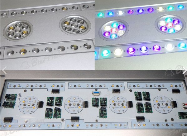 飼育用品・器具】【LED照明】【お取り寄せ】SPECTRA スペクトラ SP200