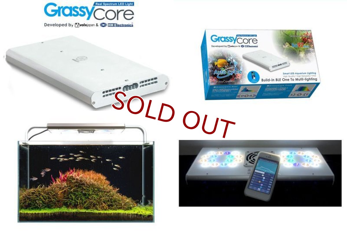 画像1: 【飼育用品・器具】【照明器具】【LEDライト】Grassy core(グラッシー コア)(淡水用)(メーカー保証付き) (1)