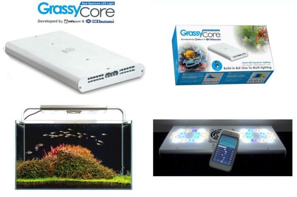 飼育用品・器具】【照明器具】【LEDライト】Grassy core(グラッシー
