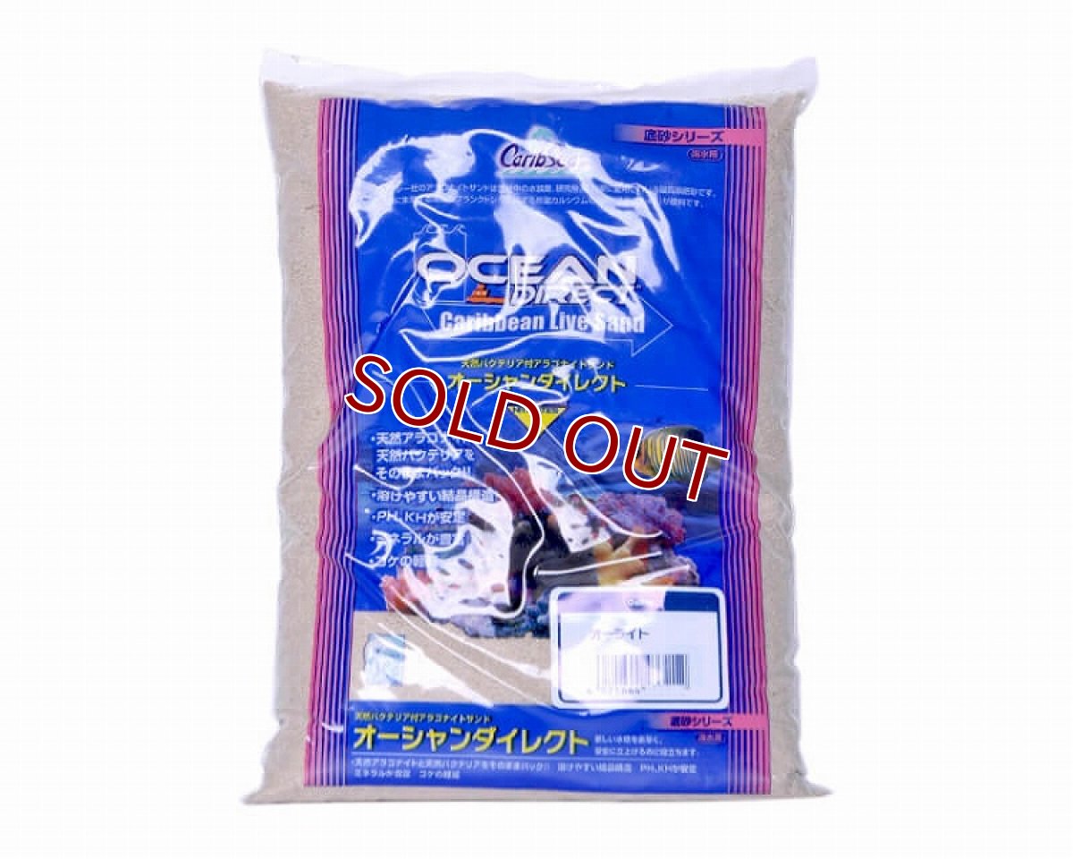 画像1: 【飼育用品・器具】【底床】カミハタ　オーシャンダイレクト　オーライト　2.2kg(海水) (1)