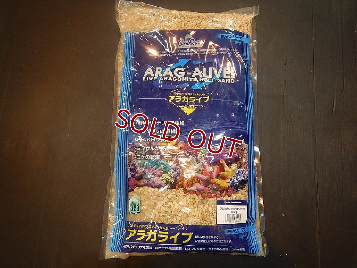 画像1: 【飼育用品・器具】【底砂】カリブシー アラガライブ フロリダクラッシュドコーラル 9K (1)
