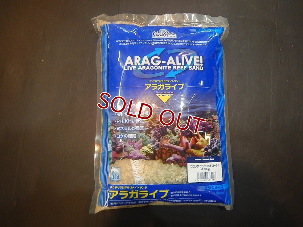画像1: 【飼育用品・器具】【底砂】カリブシー　アラガライブ　フロリダクラッシュドコーラル　4.5K (1)