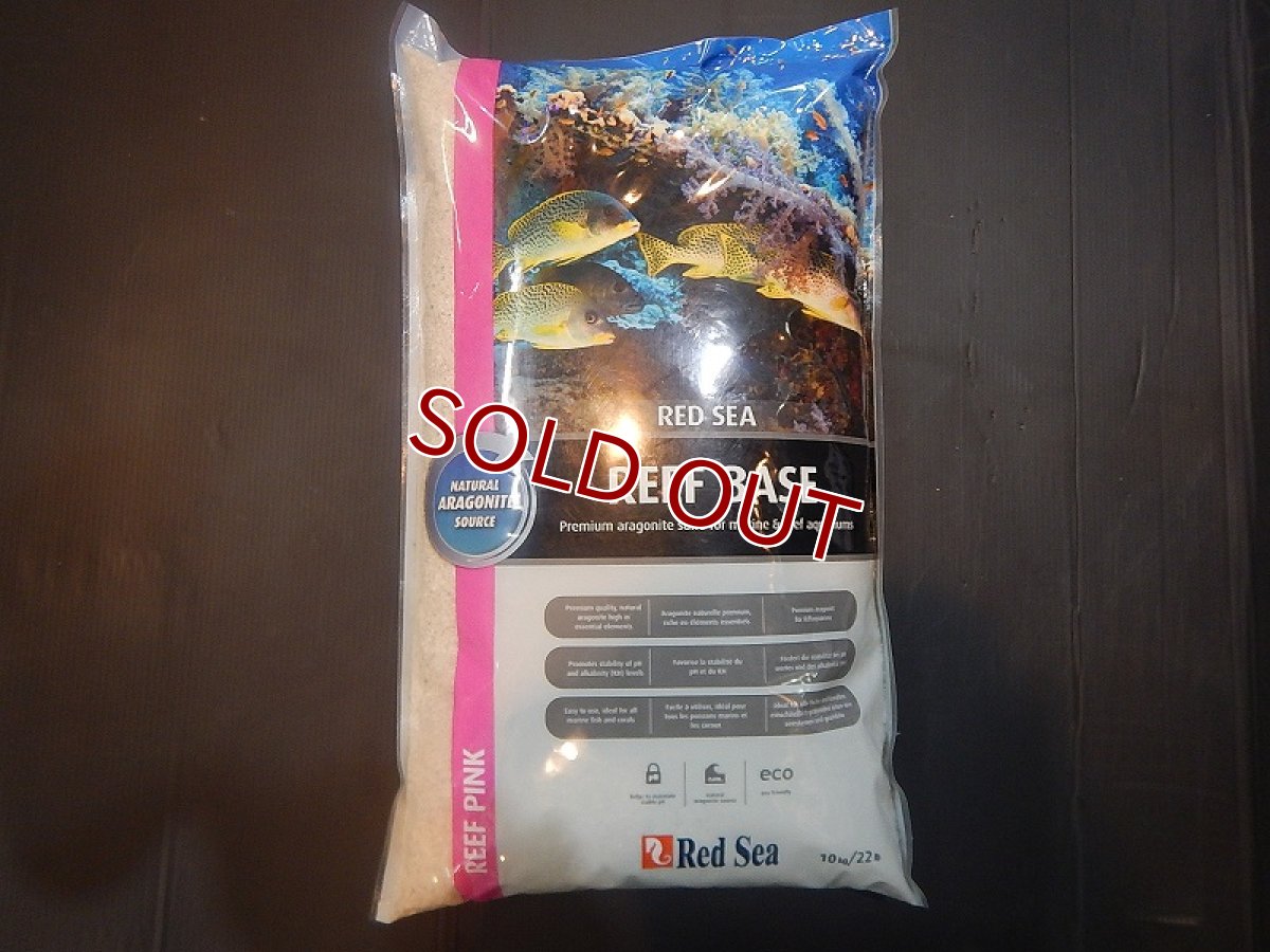 画像1: 【飼育用品・器具】【底砂】【Red Sea】リーフベース　　10K(海水用) (1)