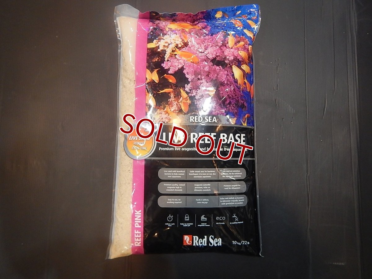 画像1: 【飼育用品・器具】【底砂】【Red Sea】ライブリーフベース　10K(海水用) (1)