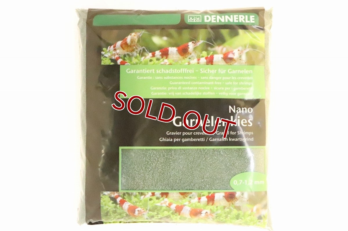 画像1: 【飼育用品・器具】【底砂】ジャワグリーン カラーサンド ナノグラベル【2kg】(淡水、海水) (1)
