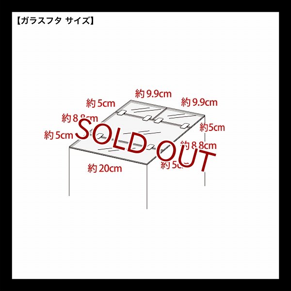 飼育用品・器具】【ガラス水槽】GEX Ga Glassterior TS 200(淡水、海水