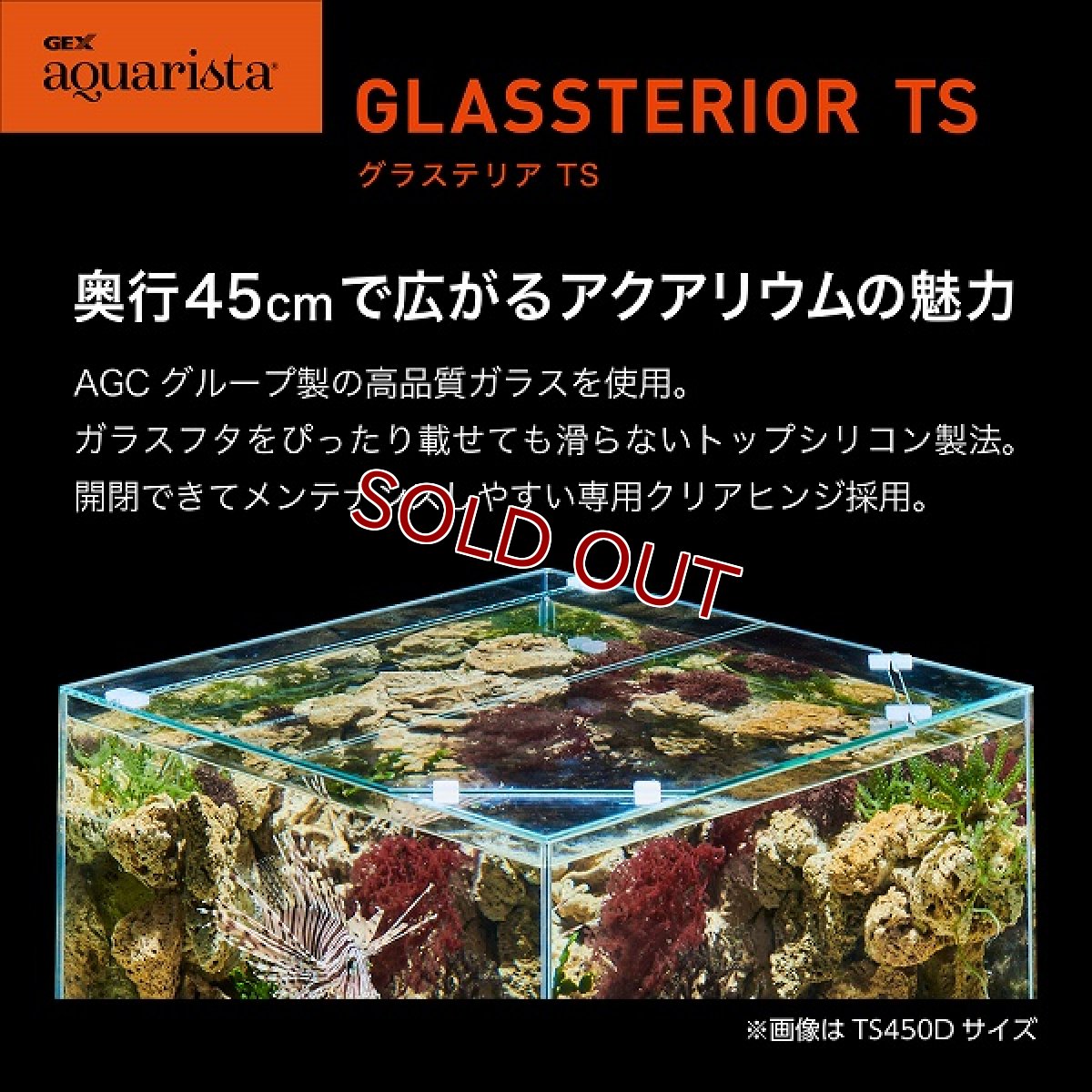 画像2: 【飼育用品・器具】【ガラス水槽】GEX Ga Glassterior TS 450D(淡水 海水可) (2)