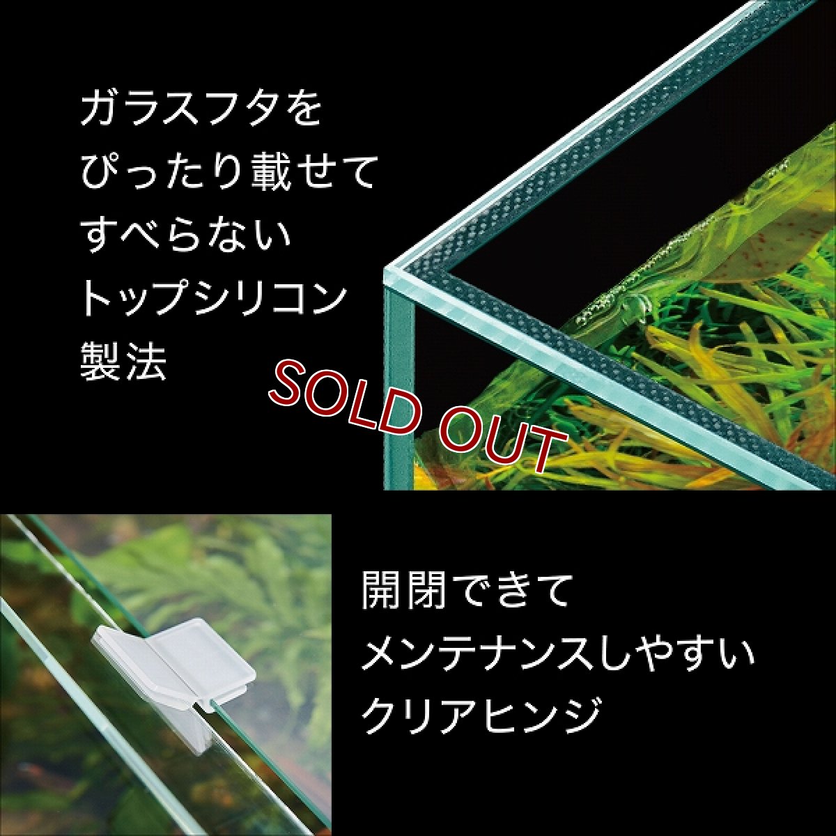 画像4: 【飼育用品・器具】【ガラス水槽】GEX Ga Glassterior TS 450D(淡水 海水可) (4)