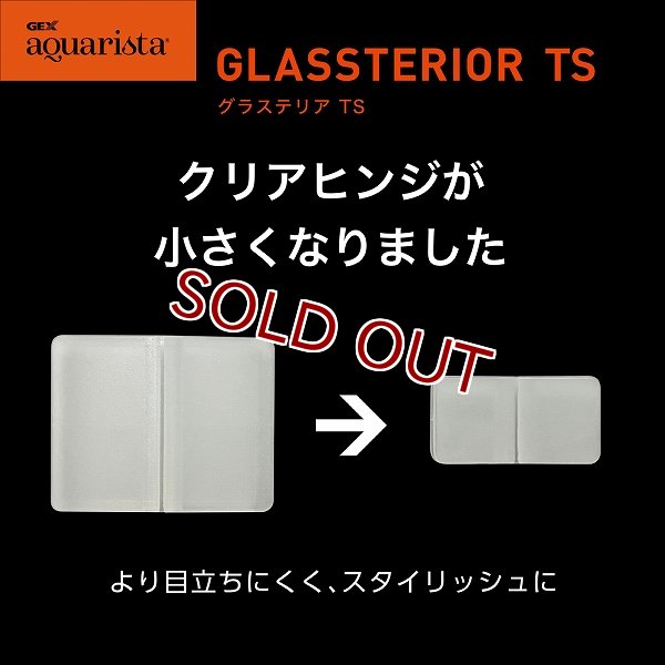 飼育用品・器具】【ガラス水槽】GEX Ga Glassterior TS 450D(淡水 海水