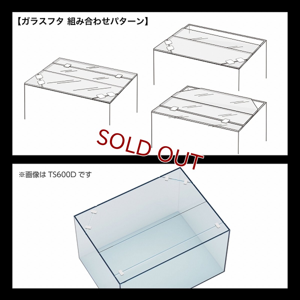 画像5: 【飼育用品・器具】【ガラス水槽】GEX Ga Glassterior TS 600D(淡水 海水可) (5)