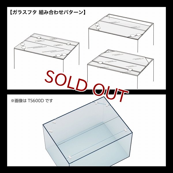 GEX Glassterior TS600D ガラス水槽 60x45x36cm 飼育用品・器具】【ガラス水槽】GEX Ga Glassterior TS 600D(淡水 海水