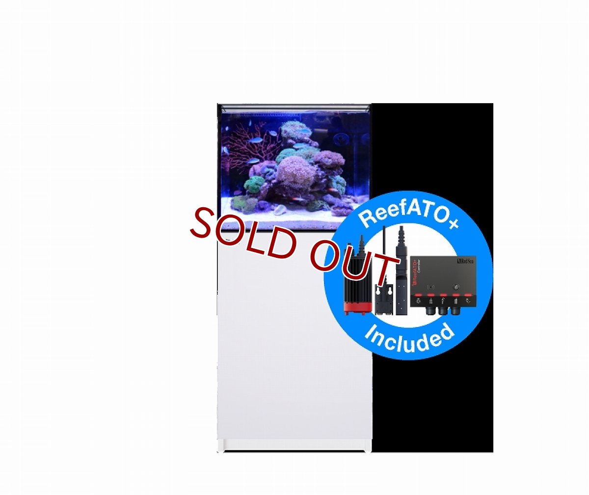画像1: 【飼育用品・器具】【大型商品送料別途】【お取り寄せ】【Red Sea】　Reefer G2＋ 170 ホワイト (オーバーフロー水槽 リーファー) (1)