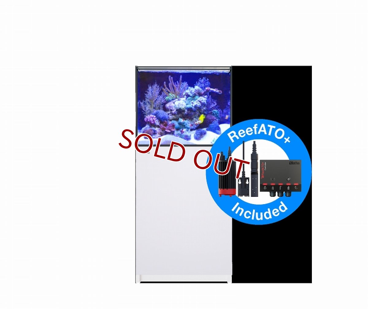 画像1: 【飼育用品・器具】【大型商品送料別途】【お取り寄せ】【Red Sea】　Reefer G2＋ 200 ホワイト (オーバーフロー水槽 リーファー) (1)