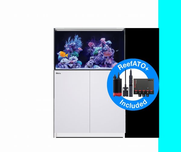 シンシン！Red Sea REEFER オーバーフロー水槽 シンシン様専用！Red Sea REEFER オーバーフロー水槽
