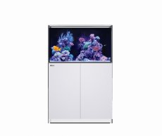 画像2: 【飼育用品・器具】【大型商品送料別途】【お取り寄せ】【Red Sea】　Reefer G2＋ 250 ホワイト (2)