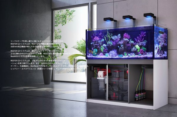 飼育用品・器具】【大型商品送料別途】【お取り寄せ】【Red Sea