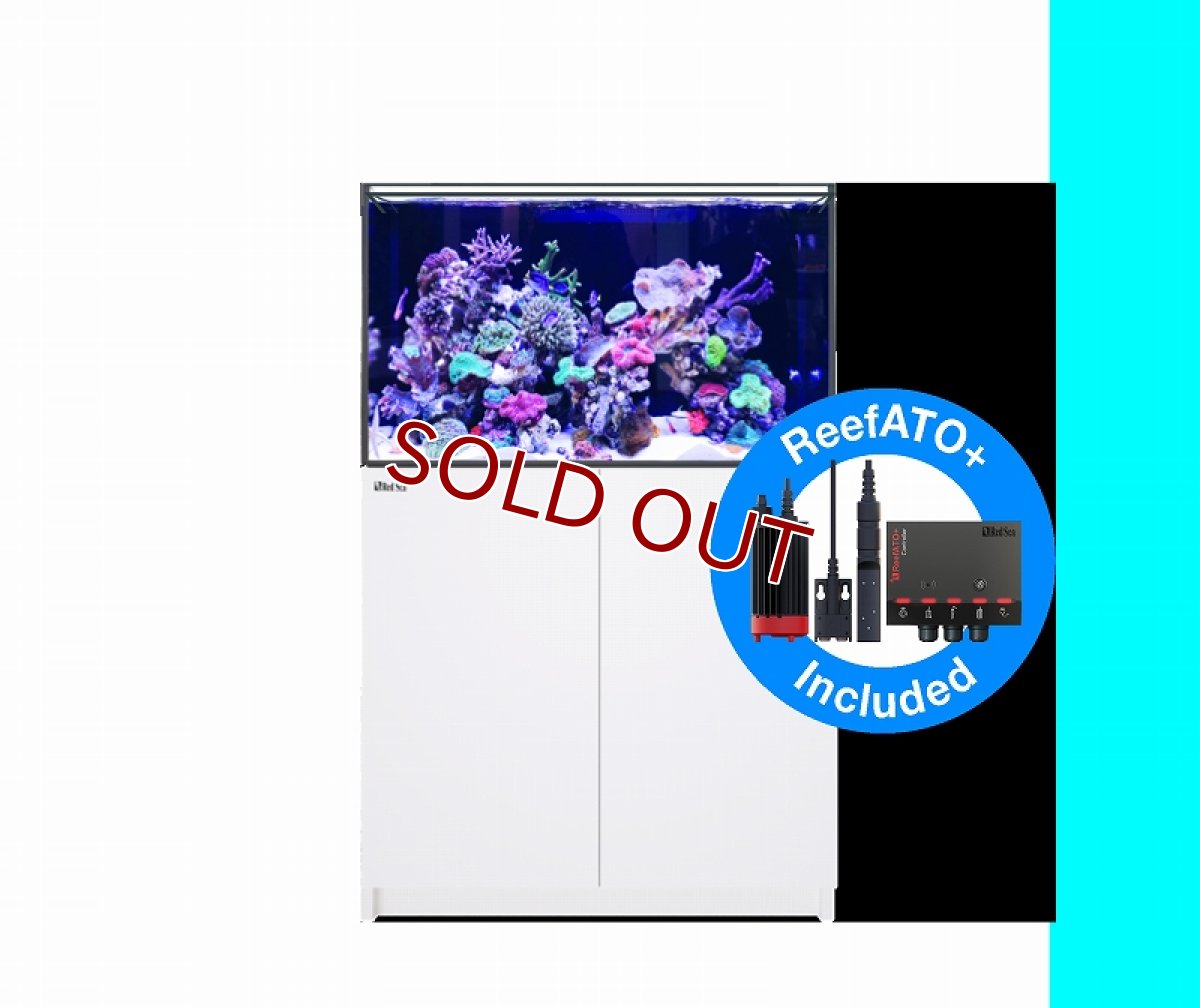 画像1: 【飼育用品・器具】【大型商品送料別途】【お取り寄せ】【Red Sea】　Reefer G2＋ 300 ホワイト (オーバーフロー水槽 リーファー) (1)
