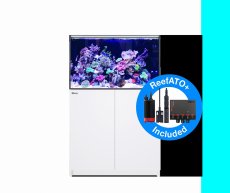 画像1: 【飼育用品・器具】【大型商品送料別途】【お取り寄せ】【Red Sea】　Reefer G2＋ 300 ホワイト (1)