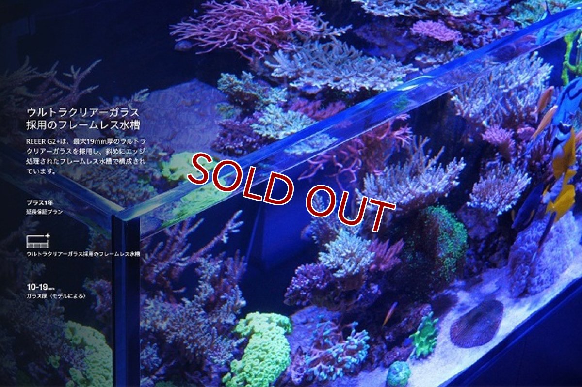 画像4: 【飼育用品・器具】【大型商品送料別途】【お取り寄せ】【Red Sea】　Reefer G2＋ 300 ブラック (オーバーフロー水槽 リーファー) (4)