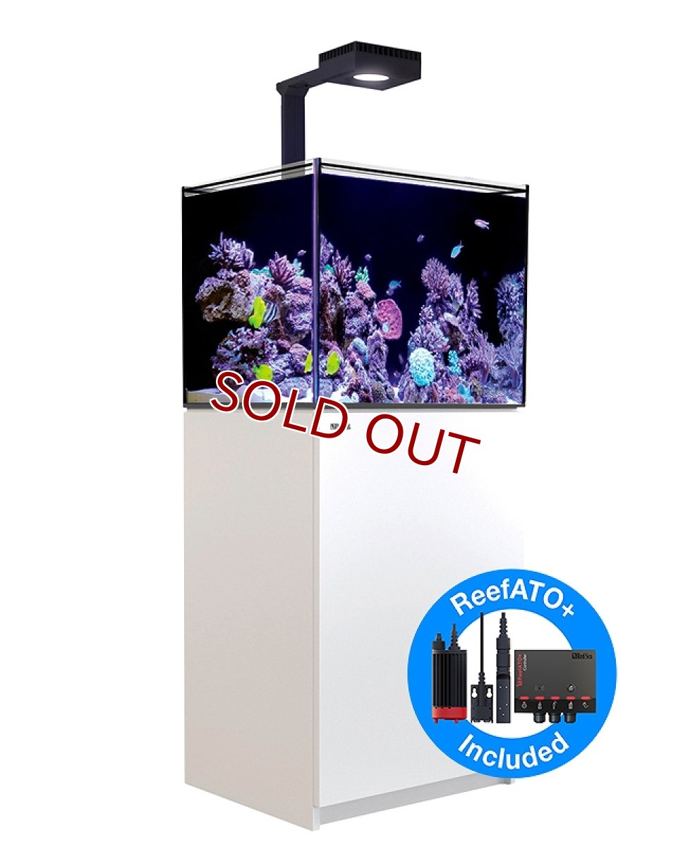 画像1: 【飼育用品・器具】【大型商品送料別途】【お取り寄せ】【Red Sea】　Reefer G2＋DX  170 ホワイト (オーバーフロー水槽 リーファー) (1)