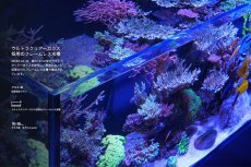 画像4: 【飼育用品・器具】【大型商品送料別途】【お取り寄せ】【Red Sea】　Reefer G2＋DX  200 ブラック (オーバーフロー水槽 リーファー) (4)