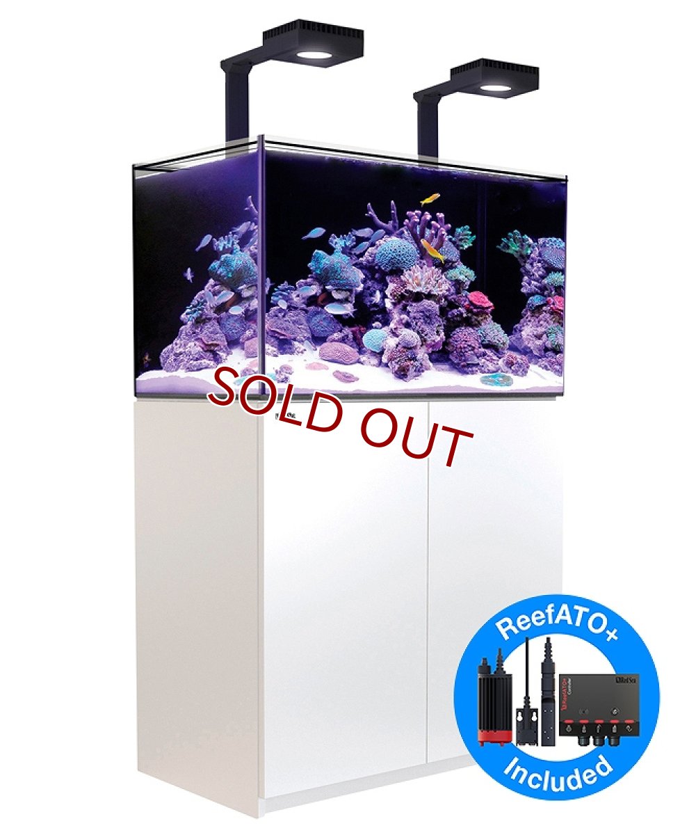 画像1: 【飼育用品・器具】【大型商品送料別途】【お取り寄せ】【Red Sea】　Reefer G2＋DX  250 ホワイト (オーバーフロー水槽 リーファー) (1)