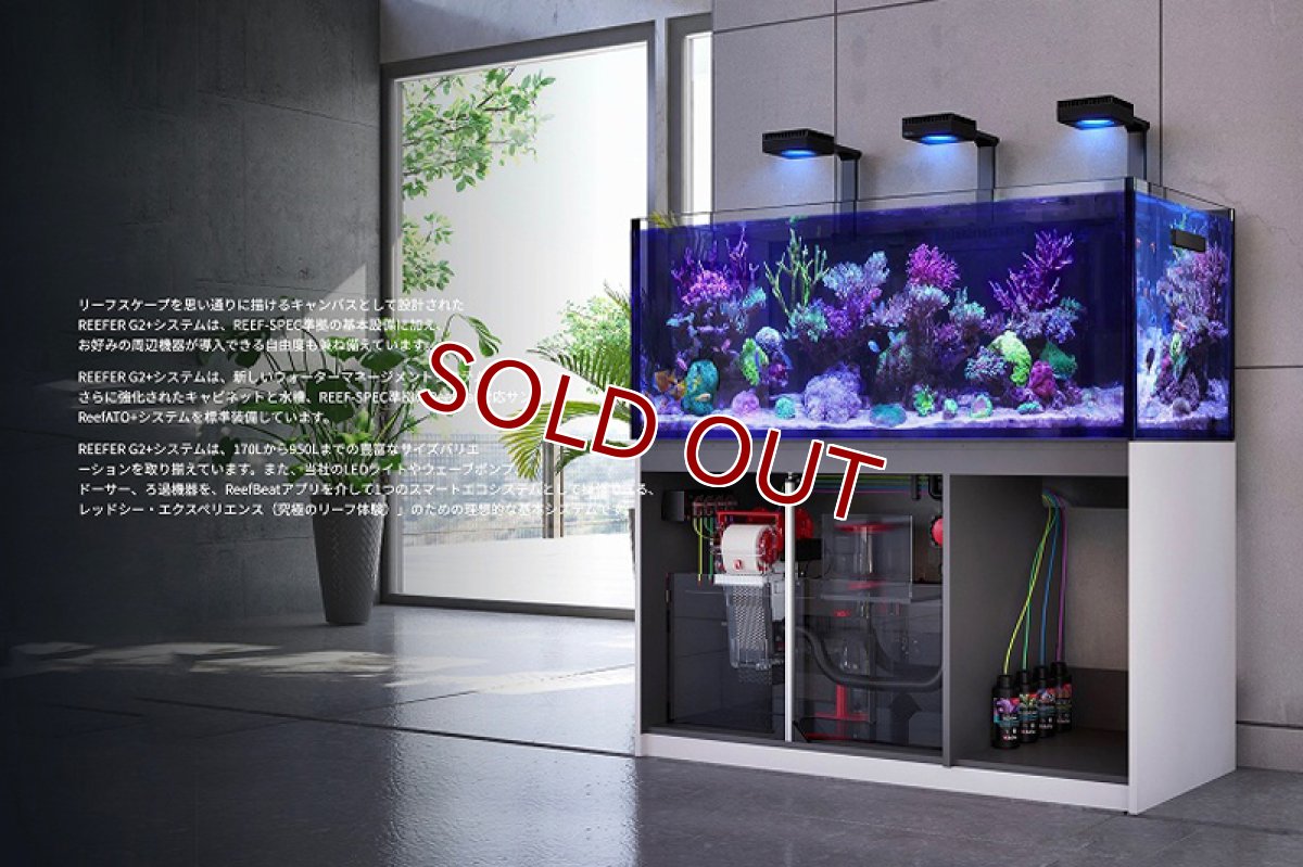 画像2: 【飼育用品・器具】【大型商品送料別途】【お取り寄せ】【Red Sea】　Reefer G2＋DX  250 ホワイト (オーバーフロー水槽 リーファー) (2)
