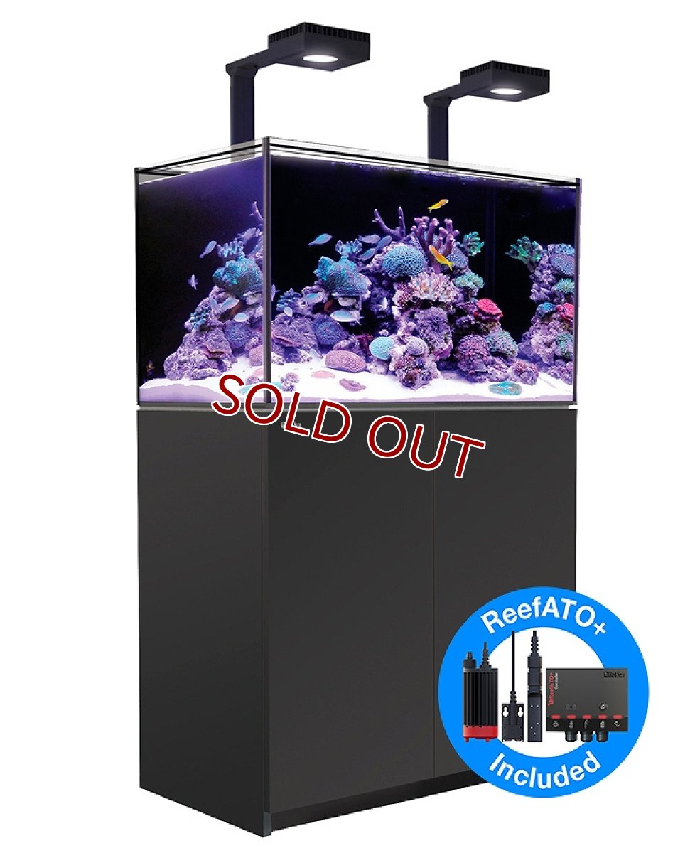 画像1: 【飼育用品・器具】【大型商品送料別途】【お取り寄せ】【Red Sea】　Reefer G2＋DX  250 ブラック (オーバーフロー水槽 リーファー) (1)