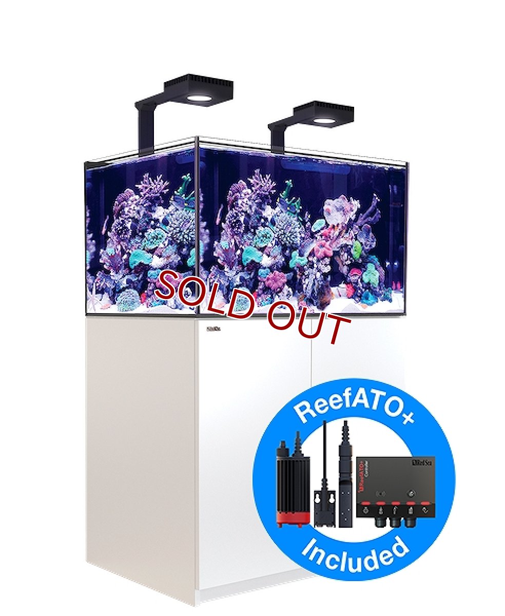 画像1: 【飼育用品・器具】【大型商品送料別途】【お取り寄せ】【Red Sea】　Reefer G2＋DX  300 ホワイト (オーバーフロー水槽 リーファー) (1)