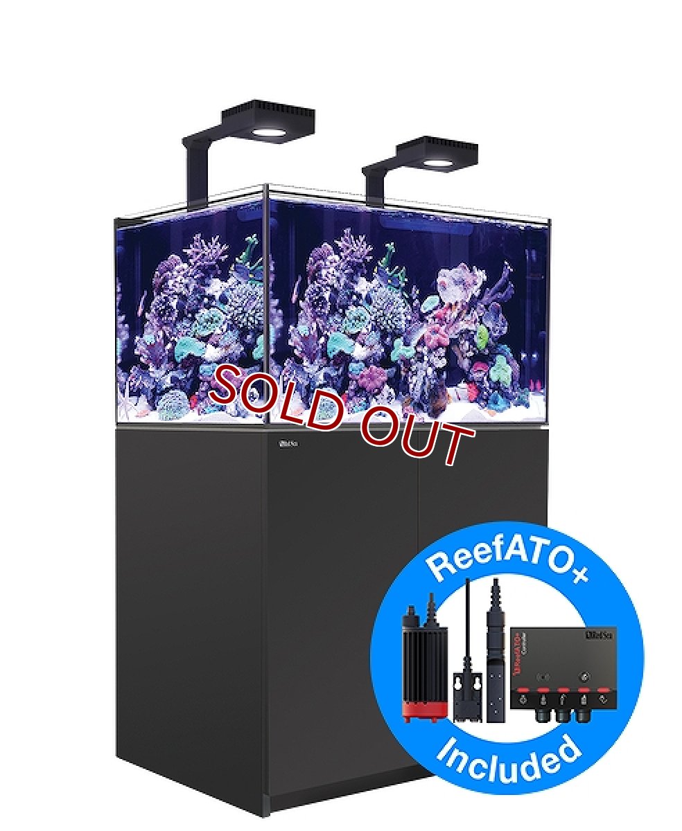 画像1: 【飼育用品・器具】【大型商品送料別途】【お取り寄せ】【Red Sea】　Reefer G2＋DX  300 ブラック (オーバーフロー水槽 リーファー) (1)