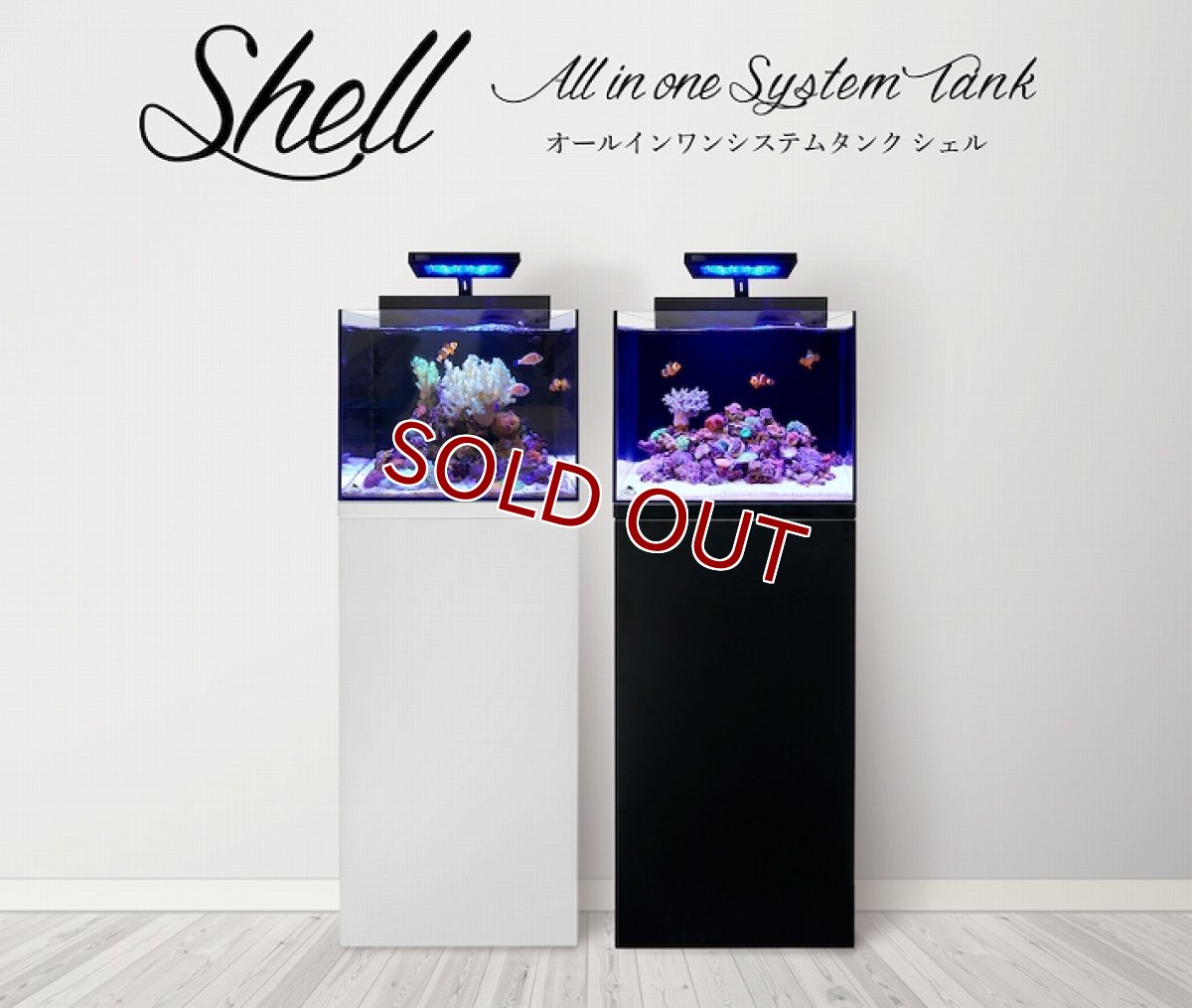 画像2: 【飼育用品・器具】【海水　セット水槽】【MMC企画】 オルカ　シェルII  小型オールインワン水槽 New 水槽部分（送料別途） (2)