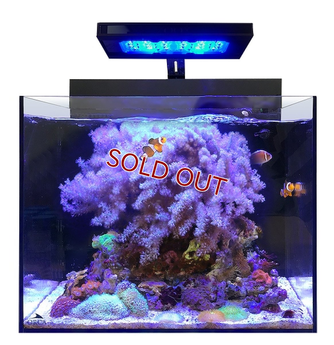 画像3: 【飼育用品・器具】【海水　セット水槽】【MMC企画】 オルカ　シェルII  小型オールインワン水槽 New 水槽部分（送料別途） (3)