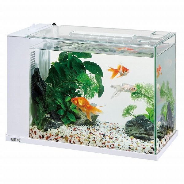 飼育用品・器具】【オールインワン水槽】GEX アワーズ ブラック