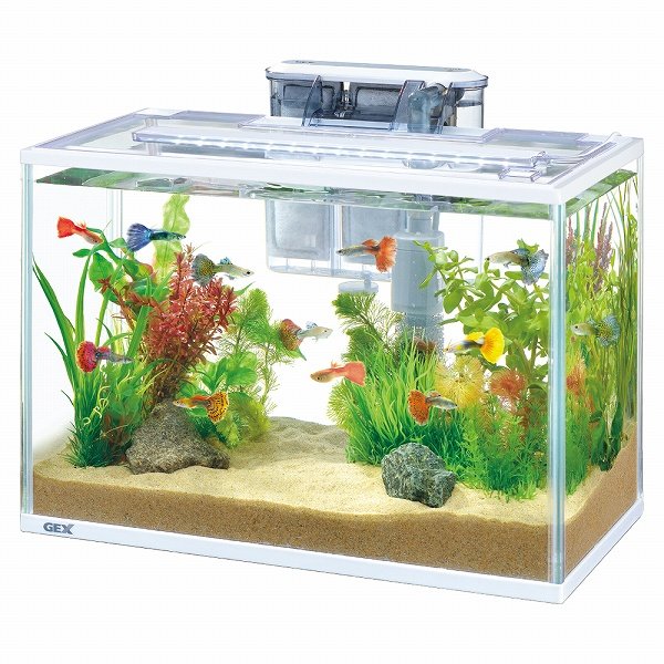 飼育用品・器具】【セット水槽】GEX スリムアクアセット 400
