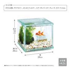 画像2: 【飼育用品・器具】【セット水槽】金魚元気ぶくぶくクリア 200CUBE(淡水、海水) (2)