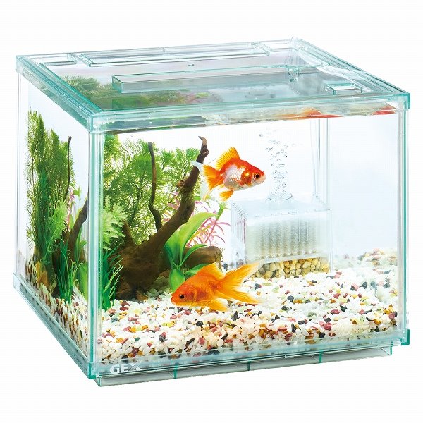 Amazon | GankPike アクアリウムセット 超クリアガラス水槽 海水