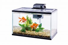 画像2: 【飼育用品・器具】【セット水槽】テトラ ひろびろワイドアクア 40(淡水、海水) (2)