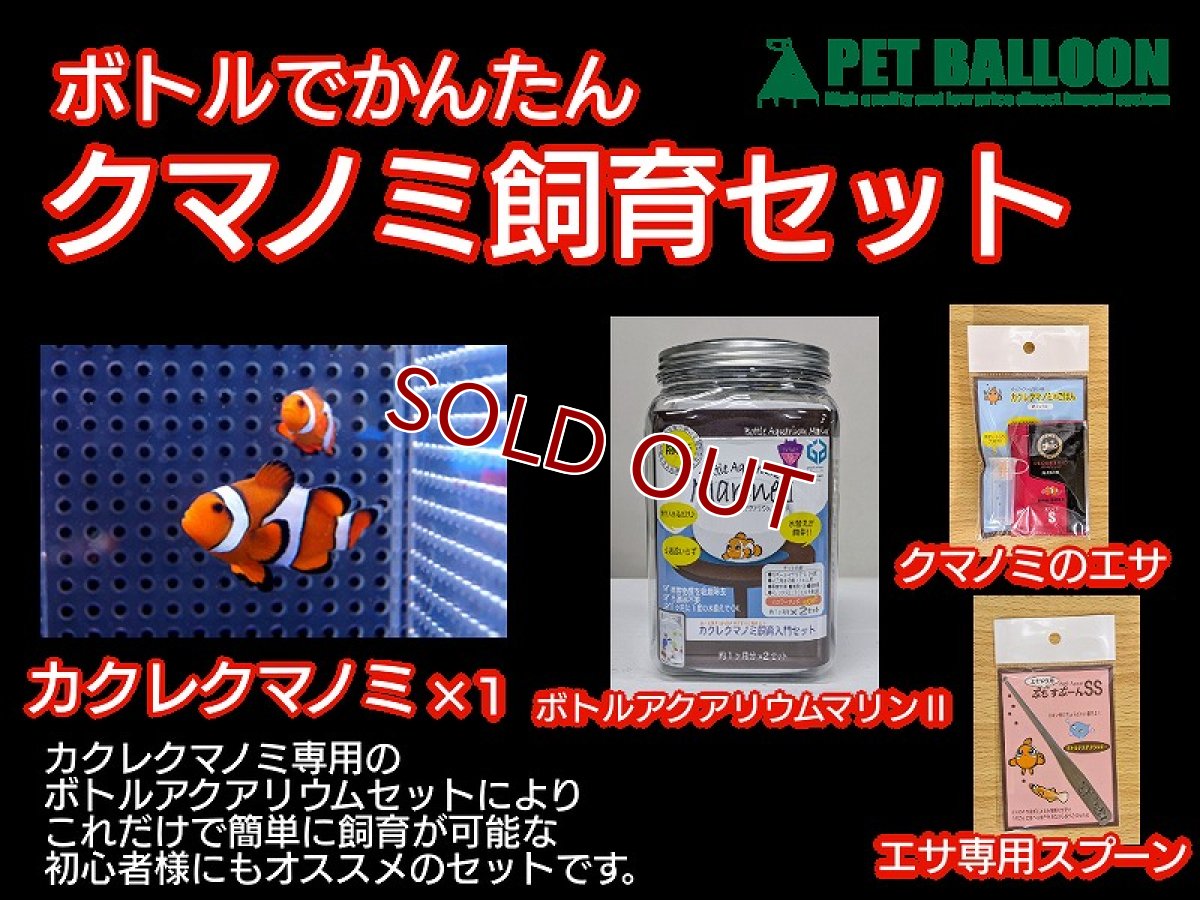 画像1: 【飼育用品・器具】【海水魚・クマノミ】ボトルでかんたんクマノミ飼育セット（生体付き飼育セット） (1)