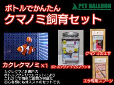 画像1: 【飼育用品・器具】【海水魚・クマノミ】ボトルでかんたんクマノミ飼育セット（生体付き飼育セット） (1)