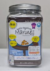 画像3: 【飼育用品・器具】【海水魚・クマノミ】ボトルでかんたんクマノミ飼育セット（生体付き飼育セット） (3)