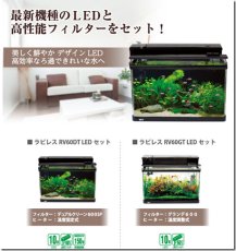 画像2: 【飼育用品・器具】【水槽】GEX　ラピレスRV60GT　LEDセット(淡水 海水用) (2)