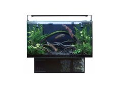 画像1: 【飼育用品・器具】【水槽】GEX アグス ４５０(淡水 海水用) (1)