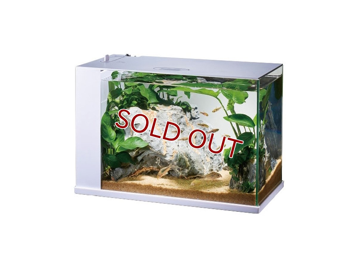 画像1: 【飼育用品・器具】【水槽】【GEX】 ラクテリア ホワイト(淡水 海水用) (1)