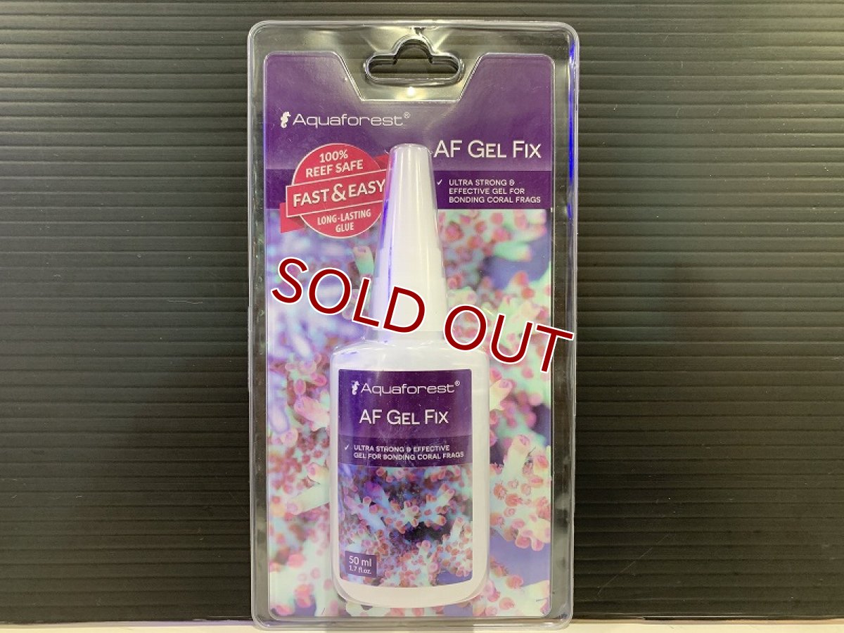 画像1: 【飼育用品・器具】【レイアウトグッズ】【フラッキングツール】Aquaforest AF GEL FIX  アクアフォレスト AF ジェル フィックス(海水用)(サンゴ用) (1)