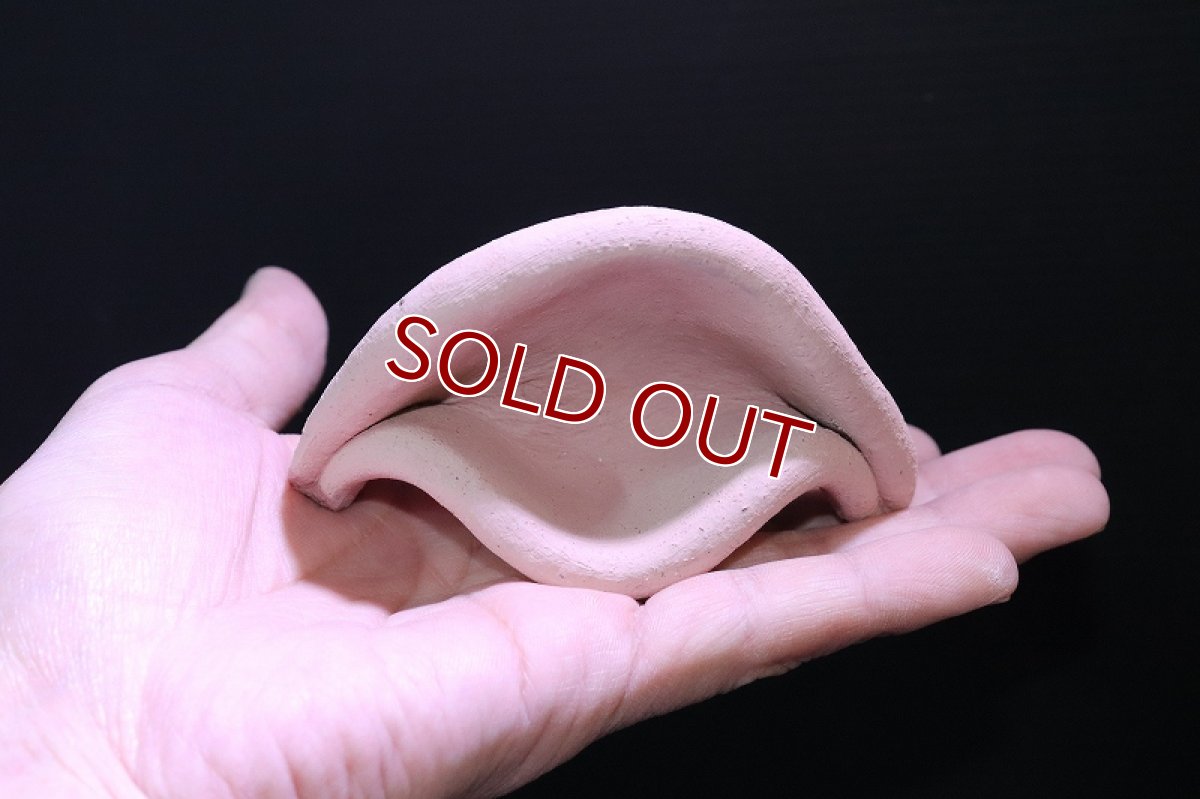 画像4: 【熱帯魚 シェルター】シェルタクラフタ どら焼き型シェルター【1個 サンプル画像】(淡水) (4)