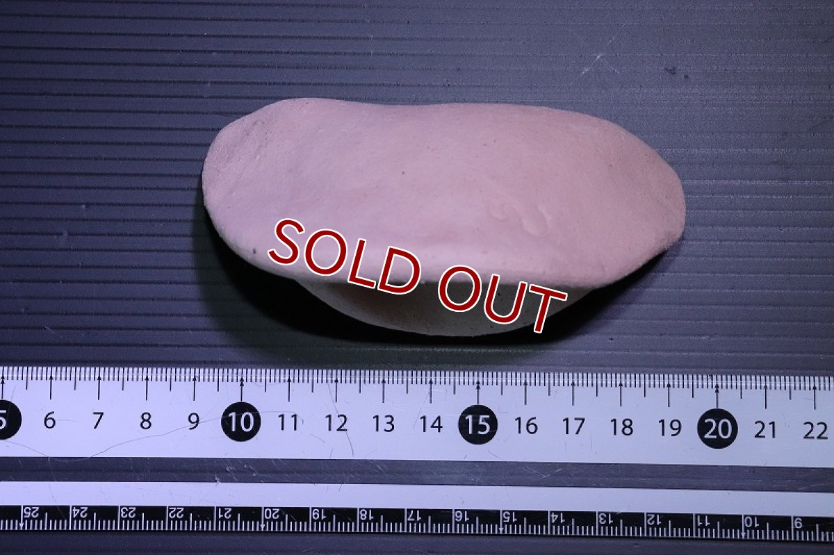 画像5: 【熱帯魚 シェルター】シェルタクラフタ どら焼き型シェルター【1個 サンプル画像】(淡水) (5)