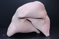 画像4: 【熱帯魚 シェルター】シェルタクラフタ どら焼き型３連結シェルター【１個 サンプル画像】(淡水) (4)