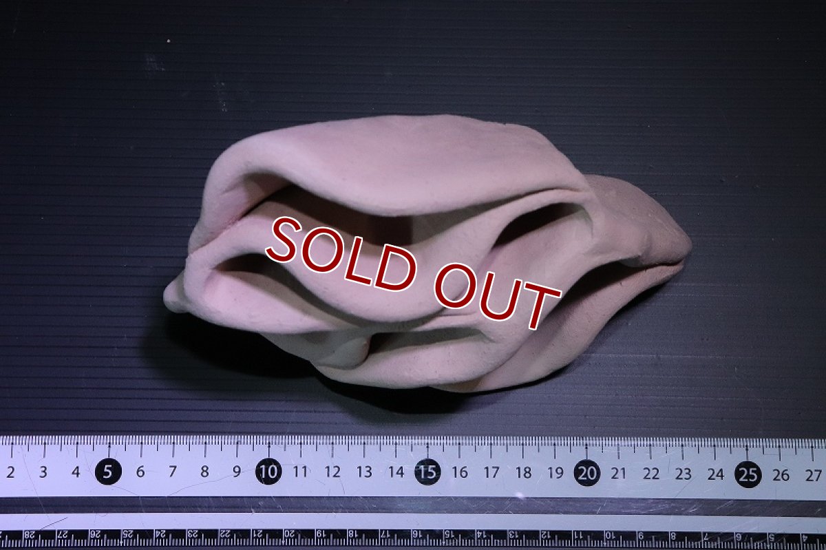 画像5: 【熱帯魚 シェルター】シェルタクラフタ どら焼き型３連結シェルター【１個 サンプル画像】(淡水) (5)