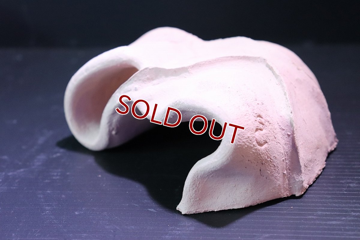 画像4: 【熱帯魚 シェルター】シェルタクラフタ 勾玉シェルター【1個 サンプル画像】(淡水) (4)